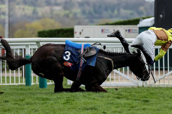 Gold Cup in Galopin Des Champs’ sights despite Cheltenham fall