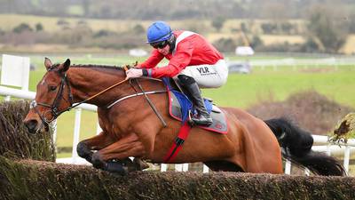 Envoi Allen settling in after move to Henry de Bromhead’s yard
