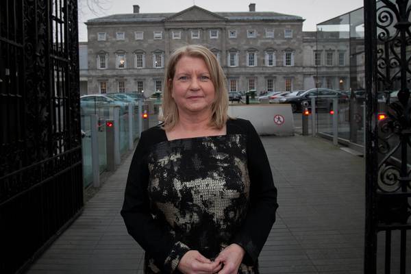 Committee hears of Michael Dwyer’s mother’s struggle for answers