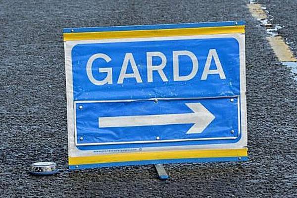 Pensioner dies after single-vehicle collision in Co Longford