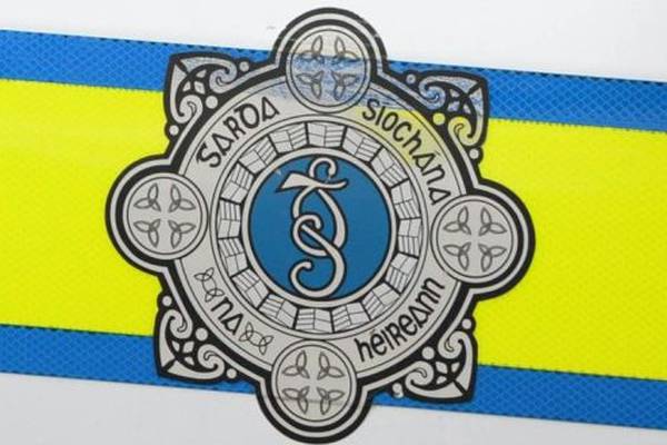 Domestic violence reports up 30% in some areas since lockdown, says Garda