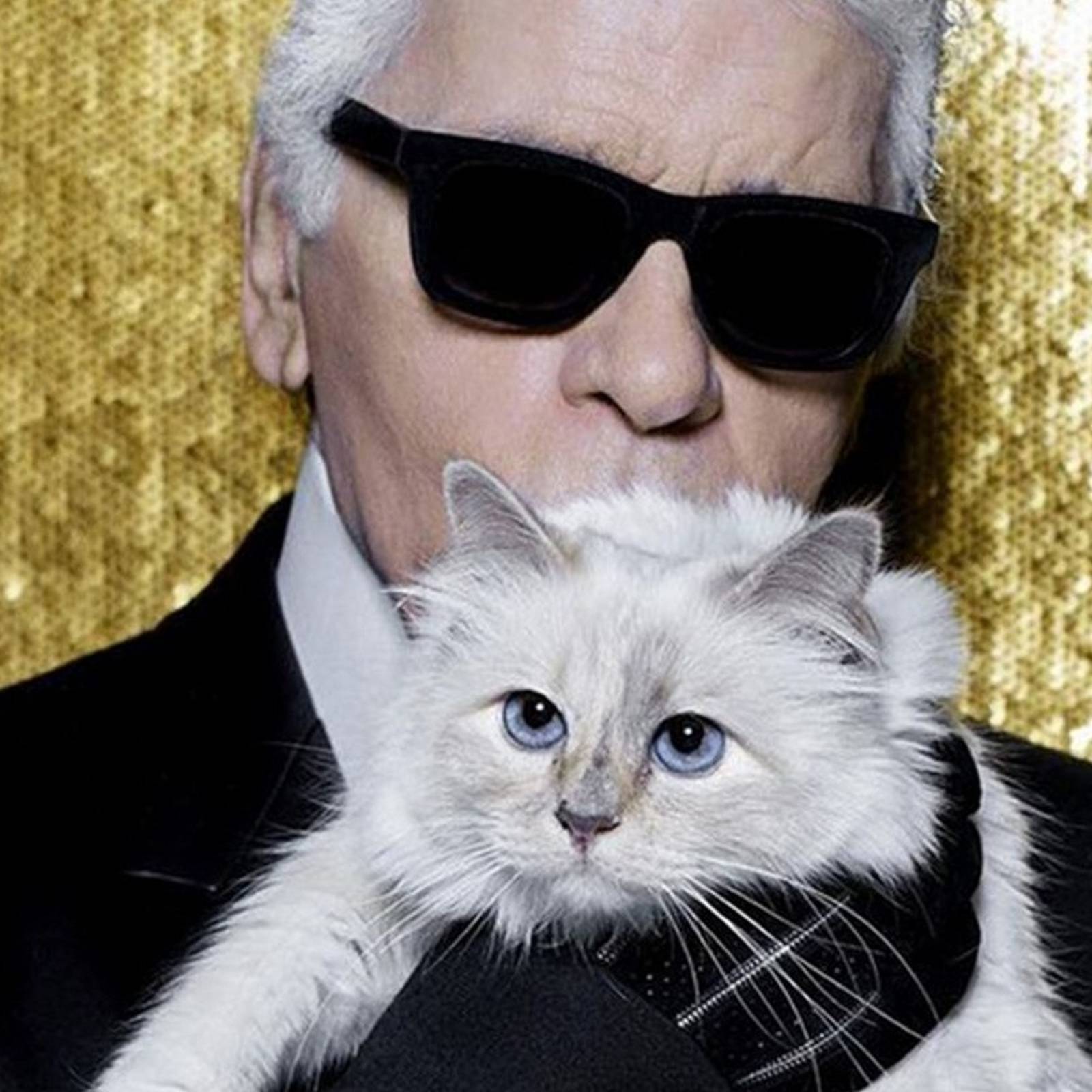 Choupette, Karl Lagerfeld's cat, became an Instagram star