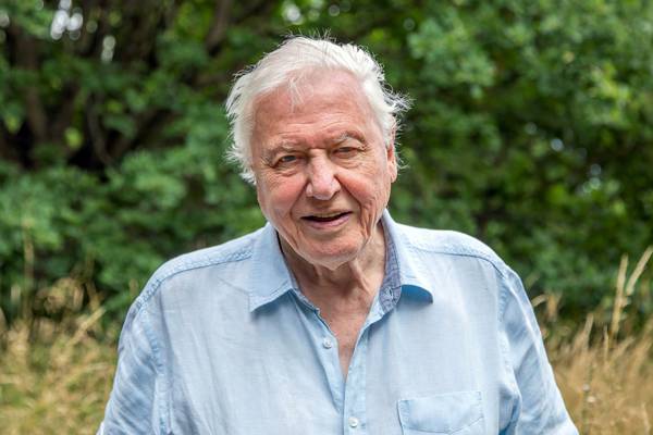 David Attenborough: ‘We’ve had enough for the moment about disasters’