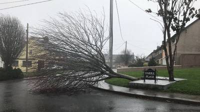 Storm Ophelia clean-up continues across the south east