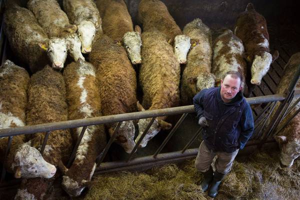 Farmers urged to reach out to friends during fodder crisis