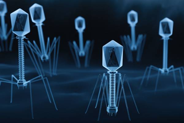 Phage therapy – a case of science fiction preceding fact