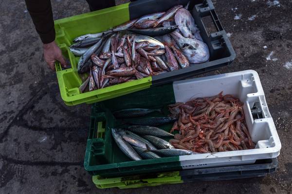 Coveney in Paris insists Irish fishing industry central to Brexit talks