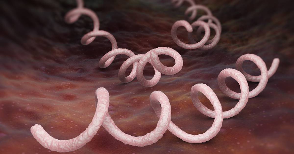 Incidence of syphilis ‘up over 30%’ in first six months of year