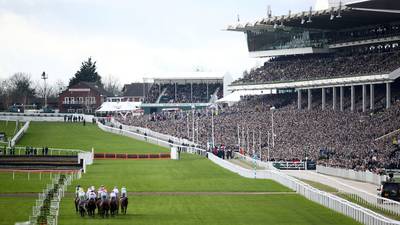 Cheltenham's horsey set unmoved by some poxy little global pandemic