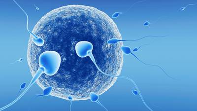 The sperm race: How an Irish firm is finding the strongest swimmers