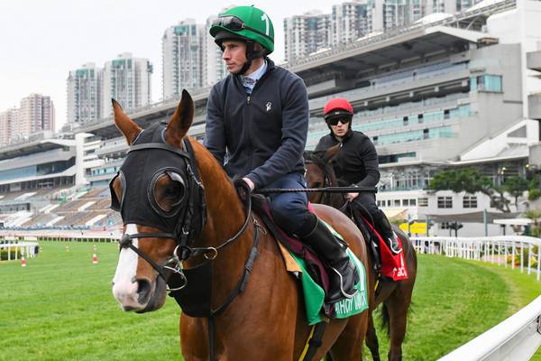 Anthony Van Dyck first Derby winner to contest Longines Hong Kong Vase
