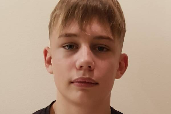 Meath gardaí seek public help in tracing missing teenager