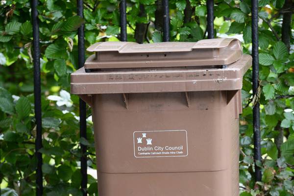 All homes to have brown bins in move to improve waste management