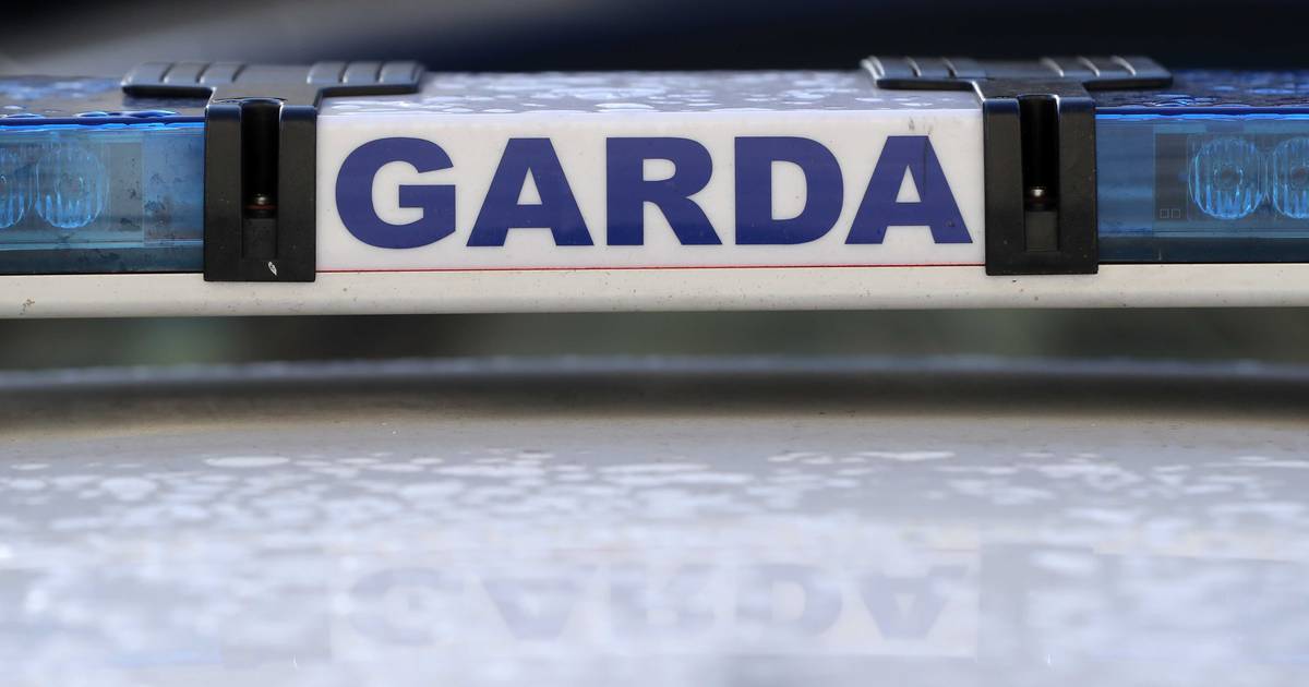 Woman (70s) dies after being hit by lorry in Mayo supermarket car park