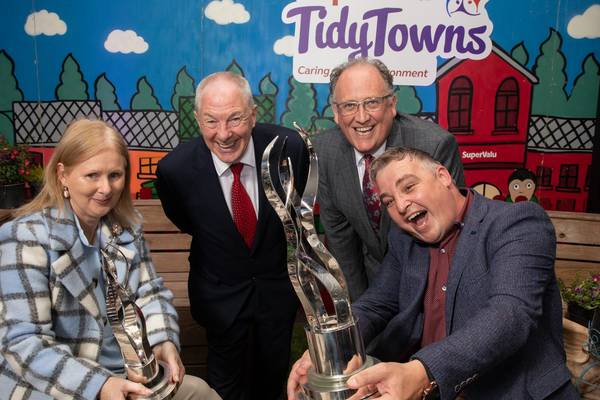 Six towns excluded from Tidy Towns contest because of email glitch