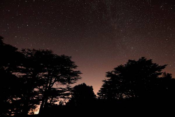 Locked down but looking up - what to look out for in the night skies right now