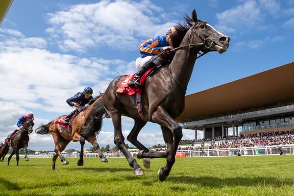 World Pool impact set to result in nine-race programme at the Curragh on Irish Derby day 