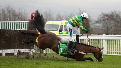 Champ crashes out at Cheltenham as Midnight Shadow sweeps up