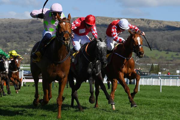 Cheltenham: Willie Mullins leads the charge as Ireland dominate final day of festival