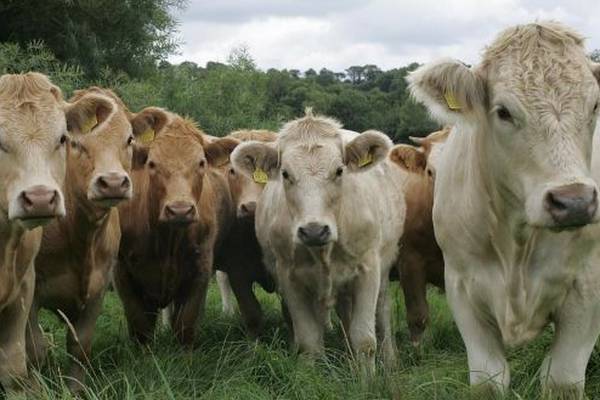 What is the new South American beef deal that will affect Ireland?