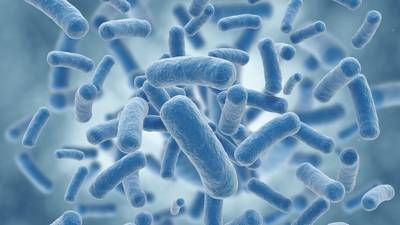 Antibiotic-resistant bacteria found in sewers