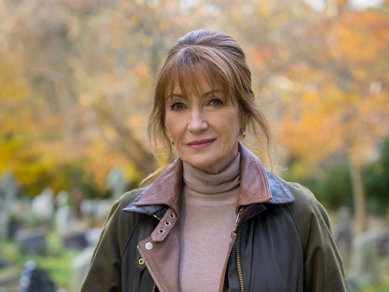 Harry Wild review: Jane Seymour charms as a latter-day Miss Marple  unleashed on the Dublin 4 set – The Irish Times