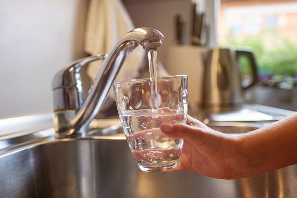 52 made ill after ‘abject failures’ at drinking water plants serving Dublin and Wexford