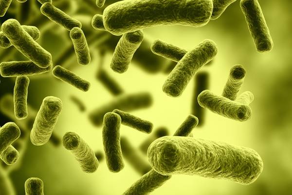 State facing more ‘avoidable deaths’ unless superbugs dealt with