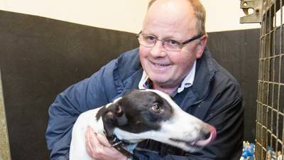 Greyhound Clares Rocket home and dry after theft