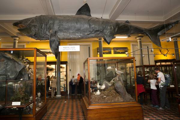 Natural History Museum to close for major refurbishment
