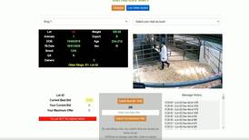 Ireland’s first virtual cattle mart is held amid coronavirus restrictions