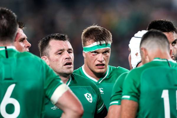 New Zealand 46 Ireland 14: Ireland player ratings