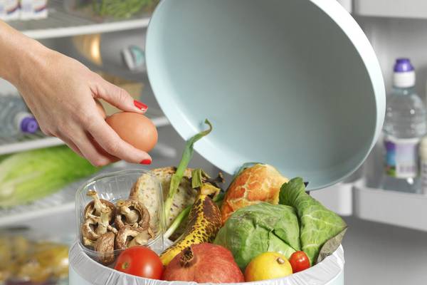 Families could save €60 a month by wasting less food, report says
