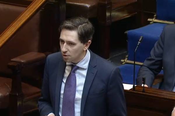 Abortion debate: Dáil told of proposals for free contraceptive service