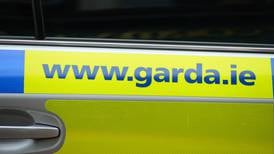 Man (74) dies after car collides with truck in Roscommon