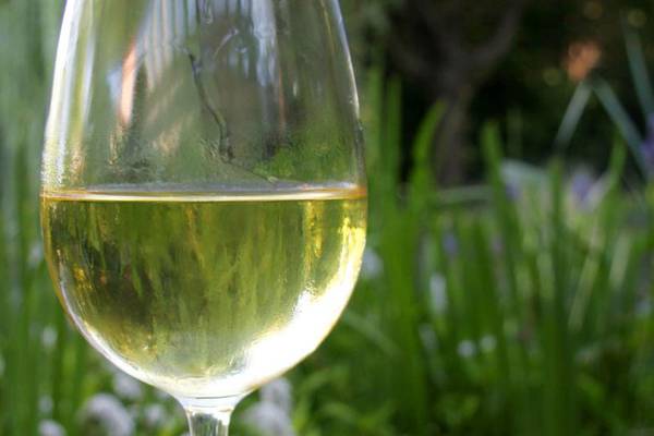 Is Chardonnay the world’s greatest white wine?