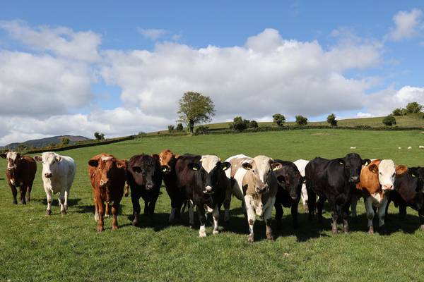 Cuts to farming emissions the main sticking point in carbon plan debate