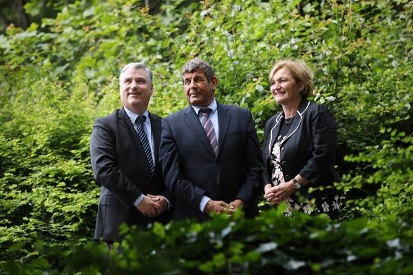 Coillte to convert nine forests in Dublin Mountains to recreational use