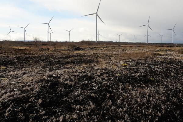 Midlands faces ‘cliff edge’ situation due to shift away from peat use