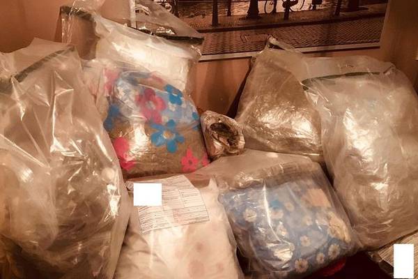 Cannabis with street value of £2 million seized during searches in Belfast