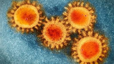 Coronavirus: Researchers in US confirm case of reinfection