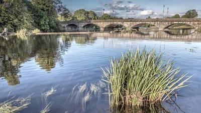 Oireachtas committee asked to demand that repairs take place on Fermoy weir
