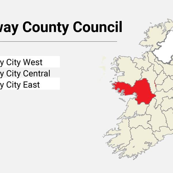 Local Elections: Galway County Council candidate list