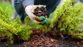 How to keep soil healthy, happy and productive