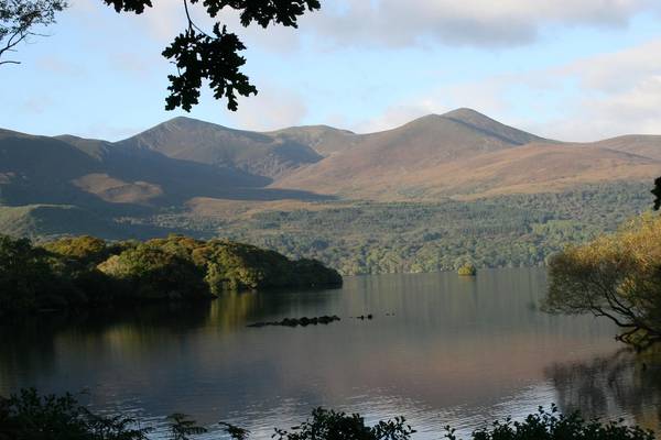 ‘A day of hope for nature’: €55m plan for wildlife service announced