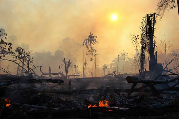 'They won’t find any spot of fire': Bolsonaro denies existence of Amazon blazes