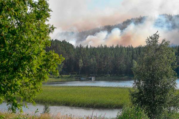 Sweden calls for help as Arctic Circle hit by wildfires