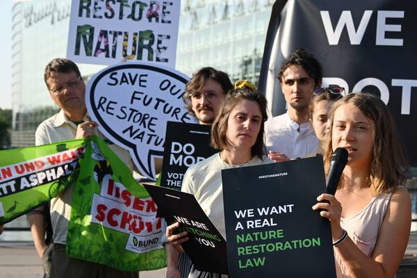 What impact will the EU nature restoration law have on Ireland? 