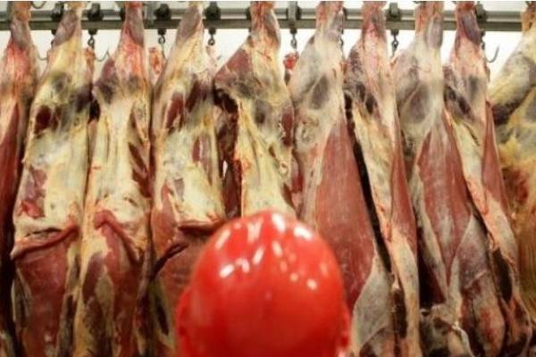 Covid: Use weekly rapid antigen tests in meat-processing plants, says Hiqa