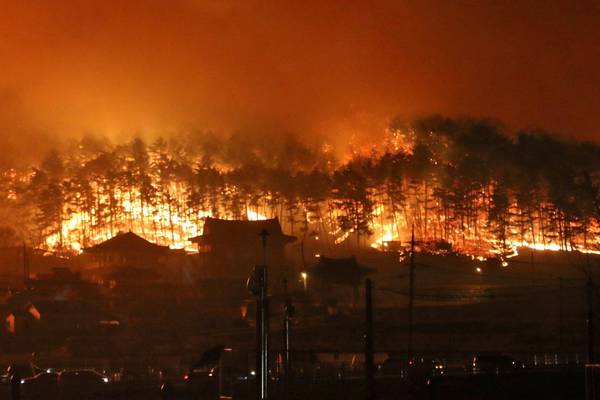 Thousands flee wildfire in South Korea’s eastern coast, one dead